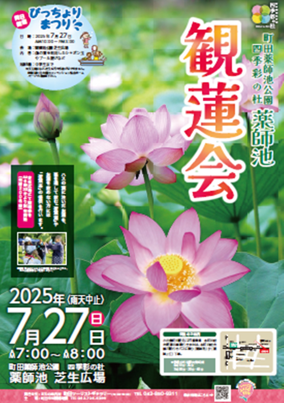 7/27開催】薬師池で夏の朝を満喫！蓮の観賞「観蓮会」と子ども向け
